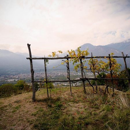 Casa Del Cecco Villa Trontano Екстериор снимка